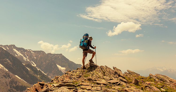 新博体育app官网