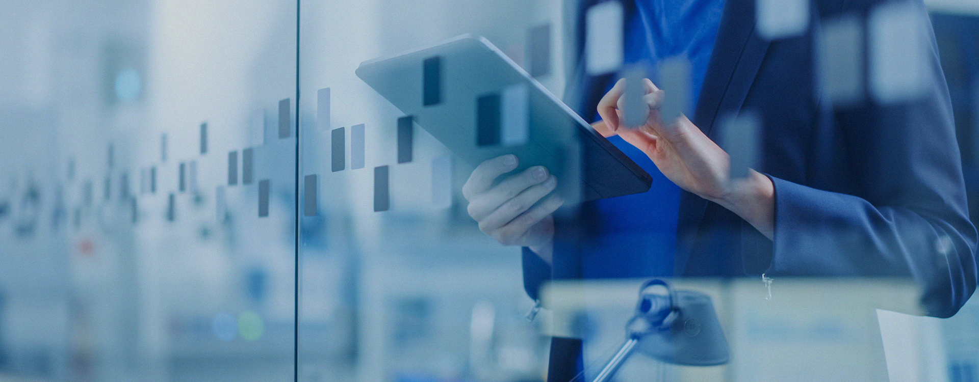 新博体育app官网