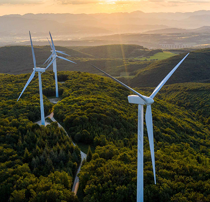 新博体育app官网