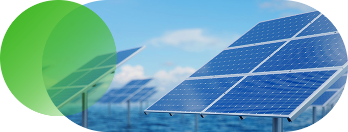 新博体育app官网