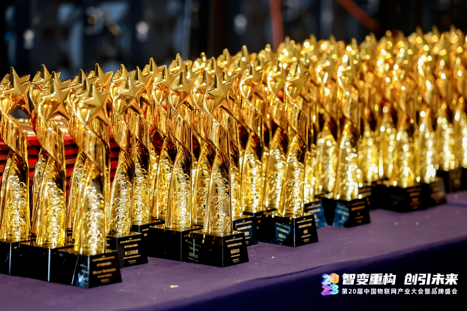 新博体育app官网