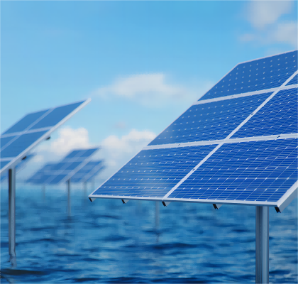 新博体育app官网