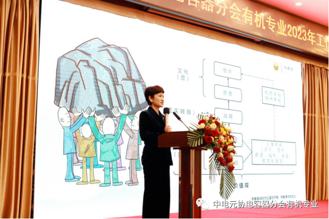 新博体育app官网