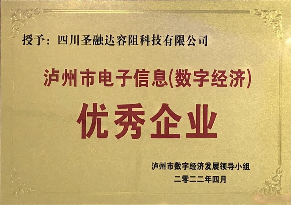 泸州市电子信息（数字经济）优秀企业