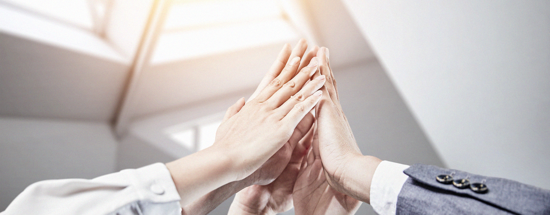 新博体育app官网