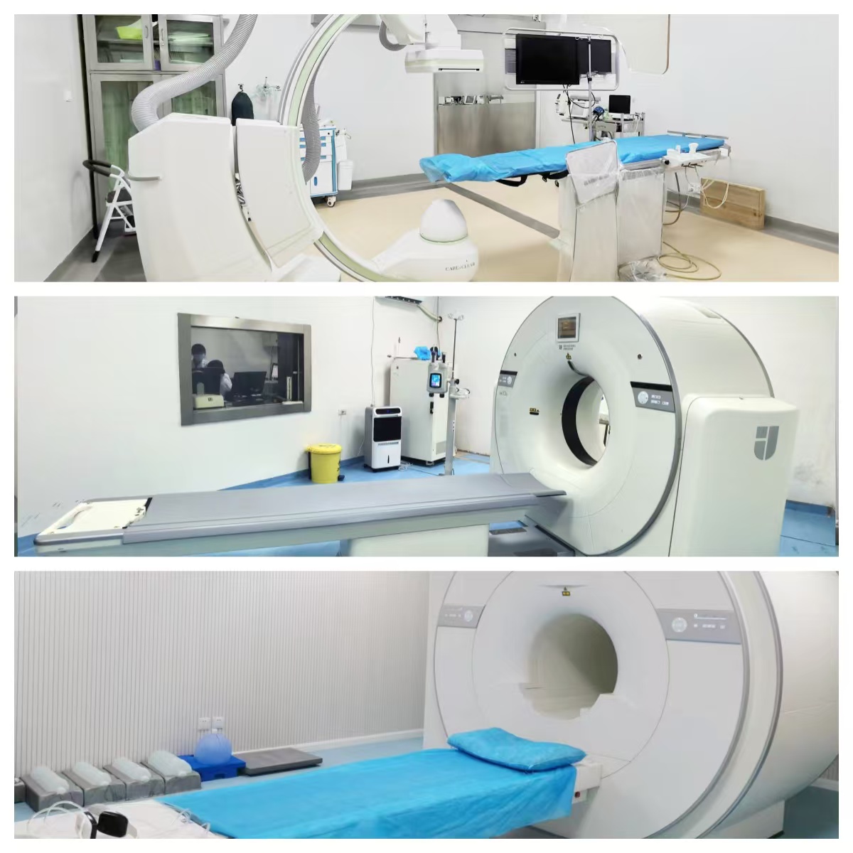 新博体育app官网